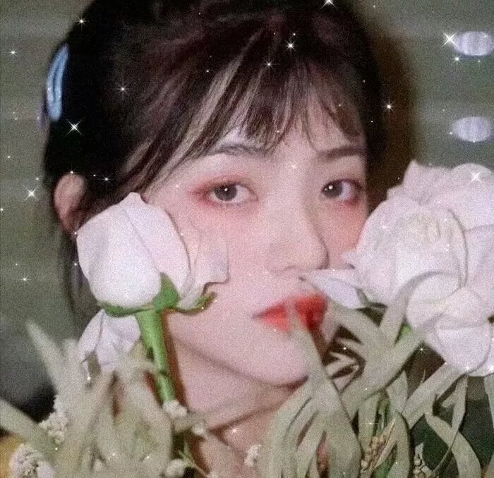 丛林呐喊